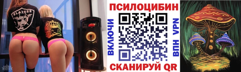 Галлюциногенные грибы Psilocybe  Тутаев 
